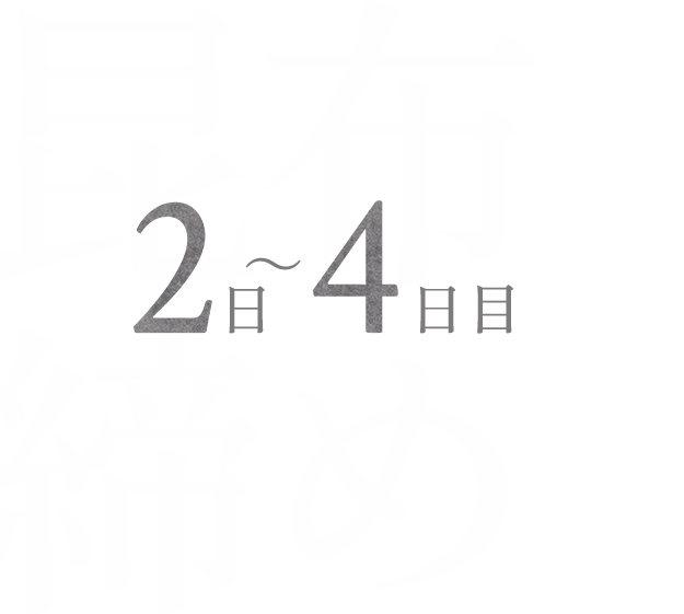 2日～4日目